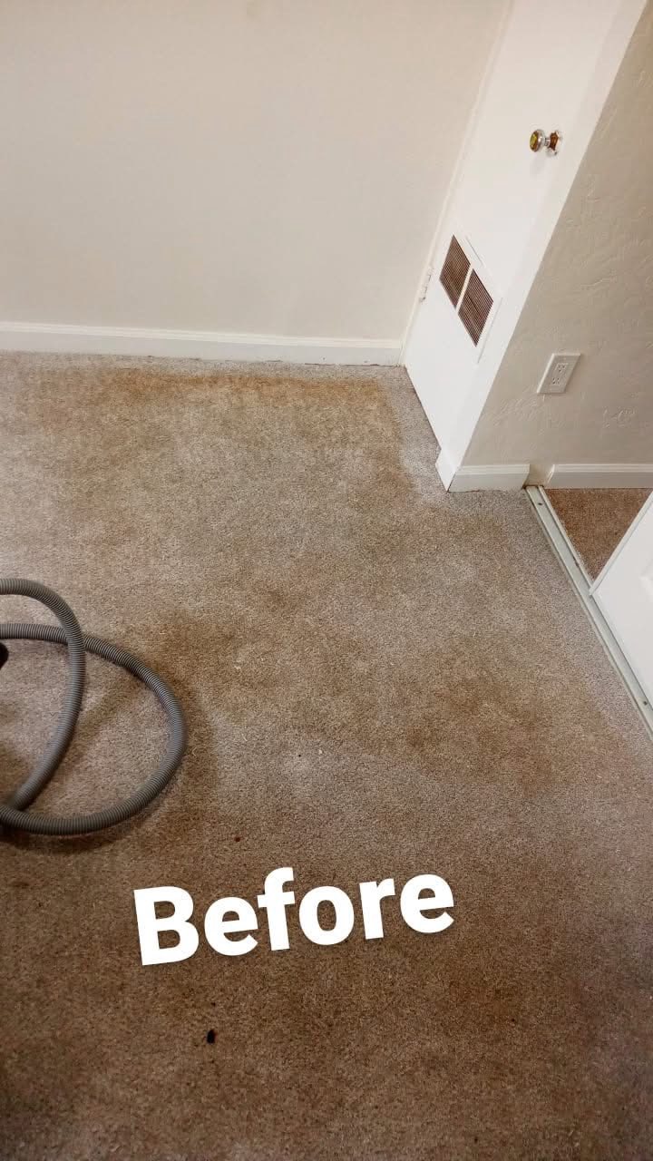 Before stained carpet