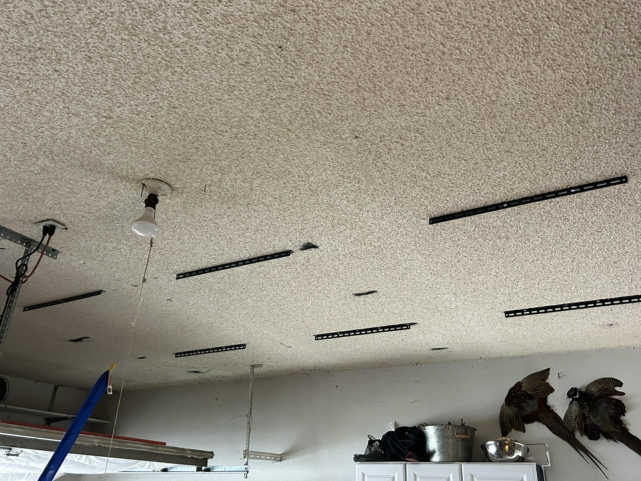 Garage ceiling before storage